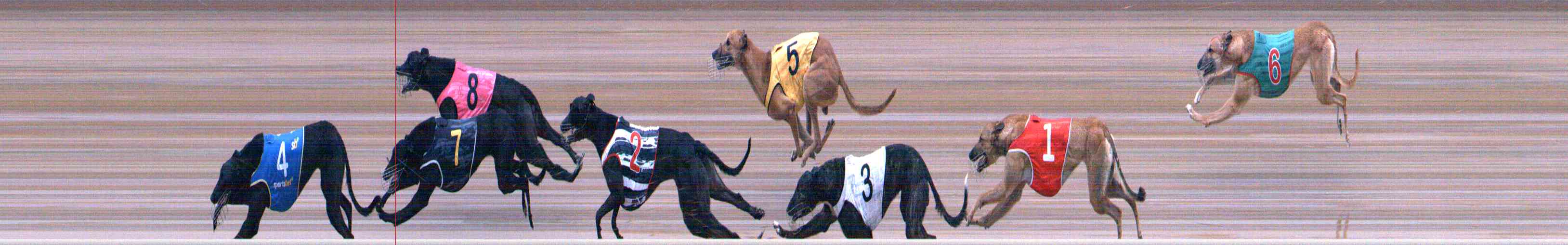 Race result finish photo